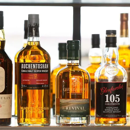 米洛美居酒店 酒店 4*